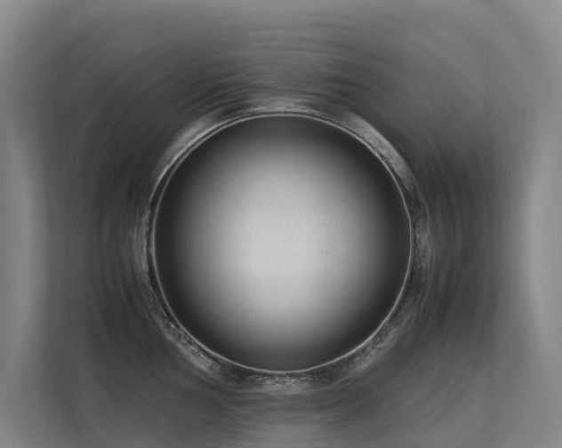 X0000113261002200909101455