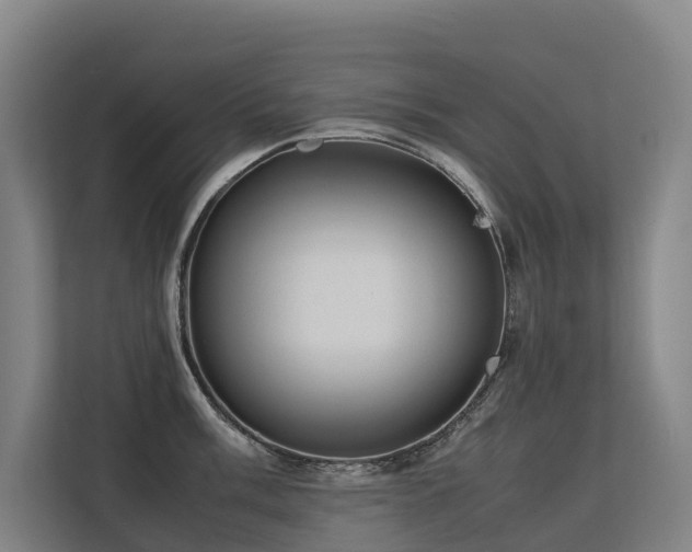 X0000113261003200909101455