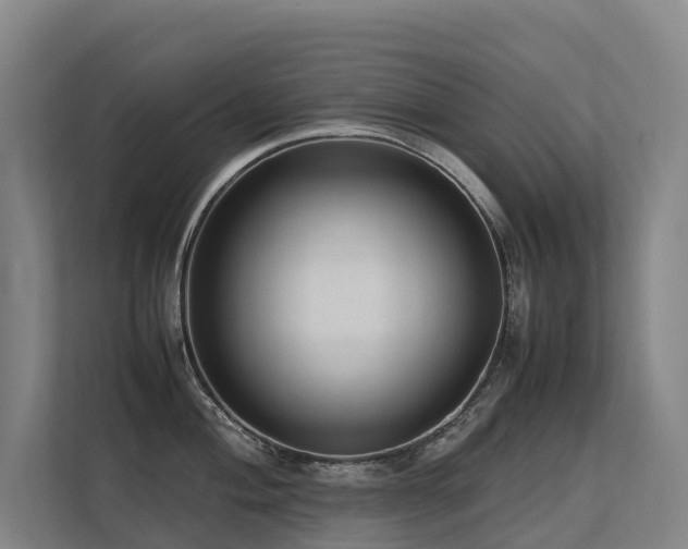 X0000113261004200909101455