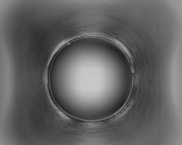 X0000113261005200909101455