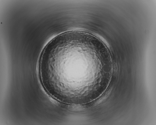 X0000113261007200909101455