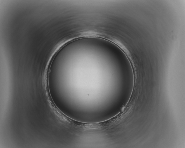 X0000113261008200909101455