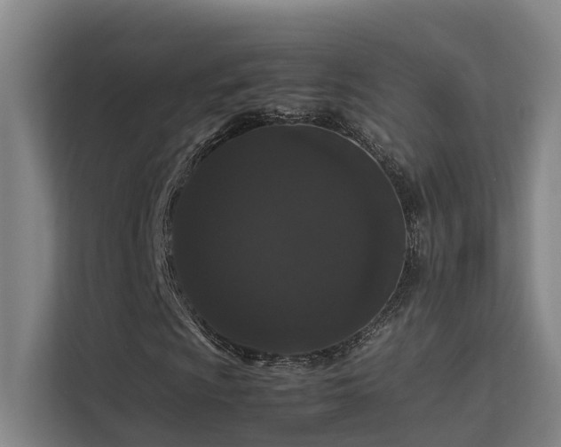 X0000113261009200909101454