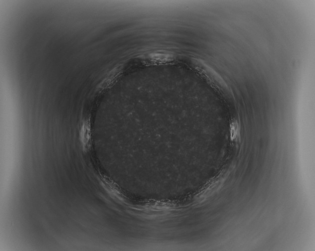 X0000113261011200909101454