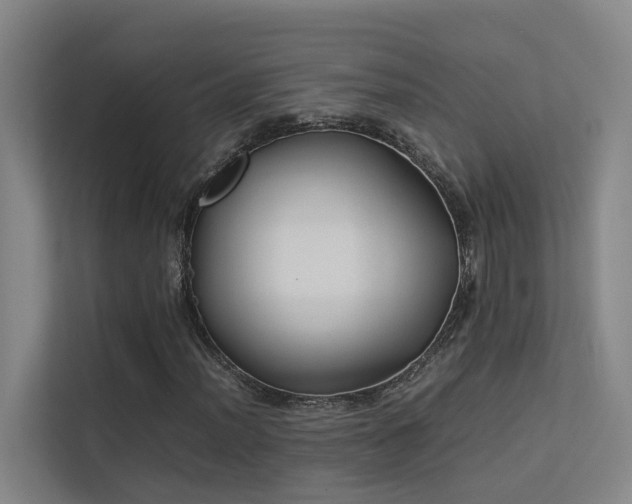 X0000113261012200909101454