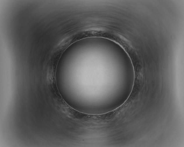 X0000113261014200909101454