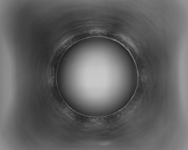 X0000113261015200909101454