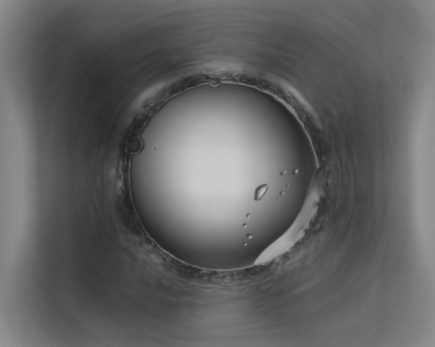 X0000113261016200909101454