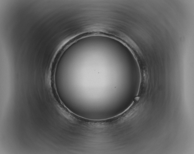 X0000113261020200909101454