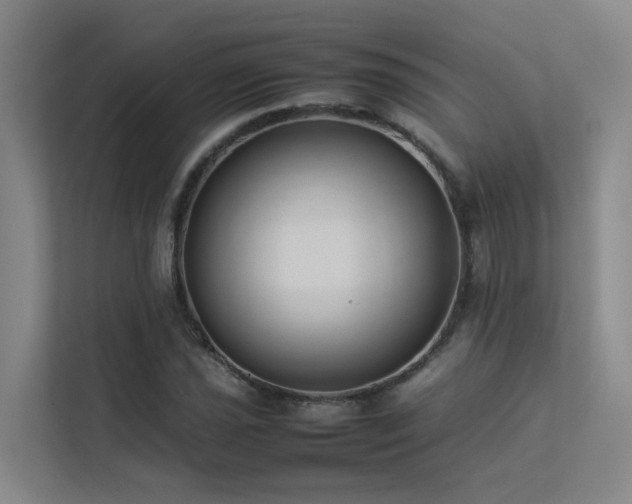 X0000113261021200909101454