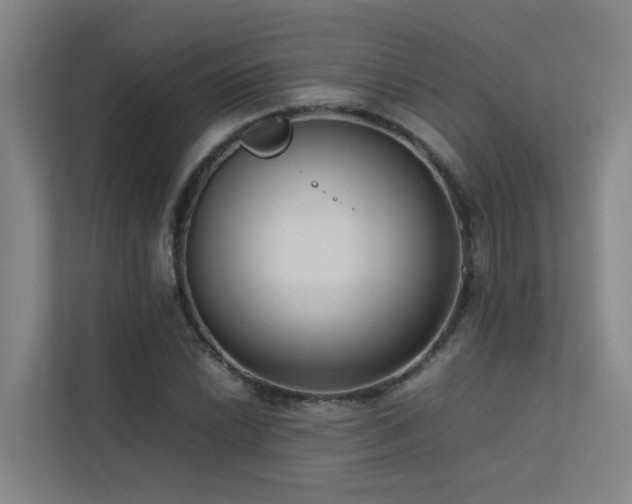 X0000113261022200909101454