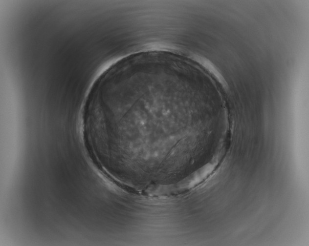 X0000113261024200909101454