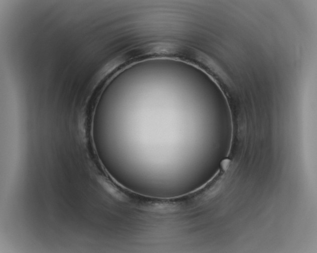 X0000113261026200909101454