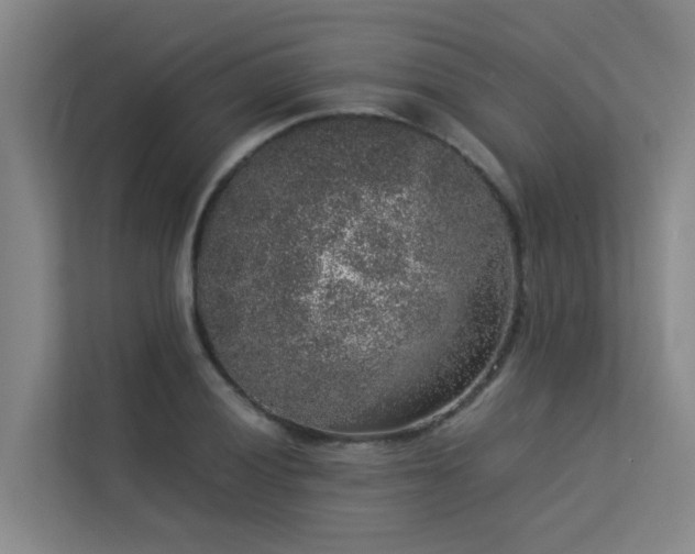 X0000113261028200909101454