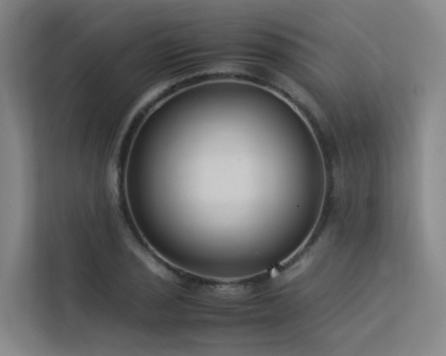 X0000113261029200909101455