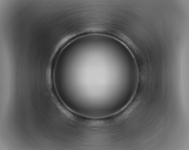 X0000113261030200909101455