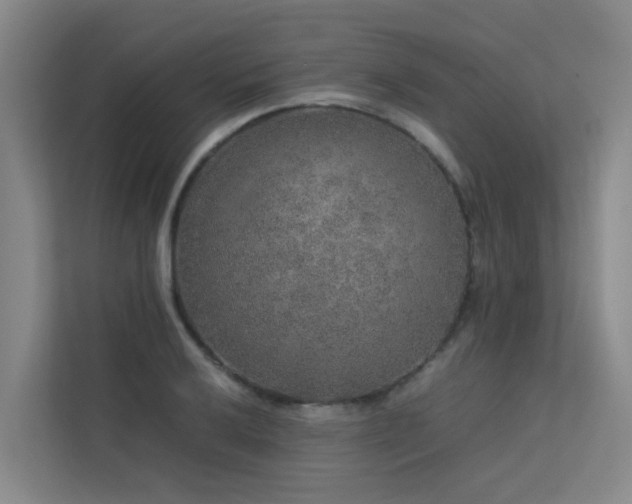 X0000113261032200909101455