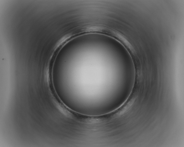 X0000113261034200909101455