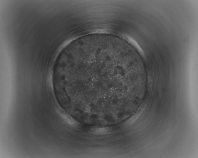 X0000113261035200909101455