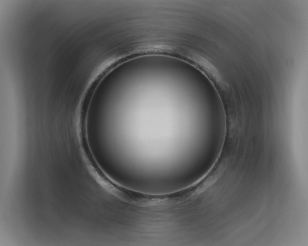 X0000113261038200909101455