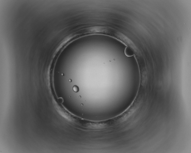 X0000113261039200909101455