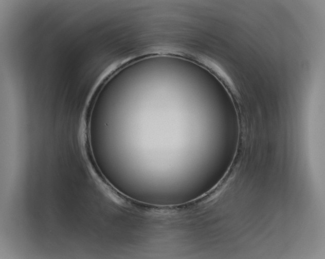 X0000113261040200909101455