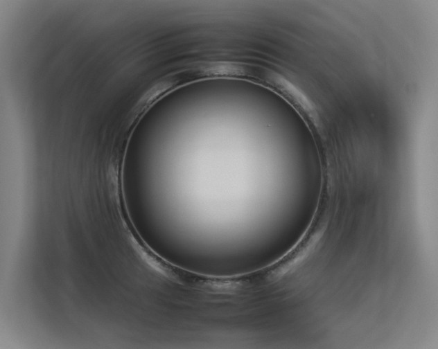 X0000113261041200909101455