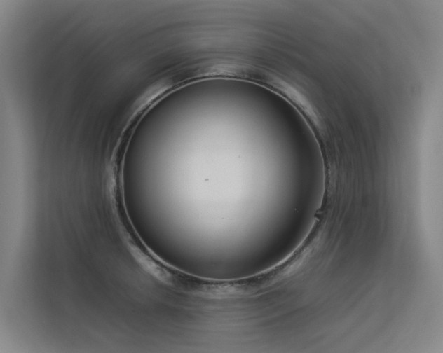 X0000113261042200909101455