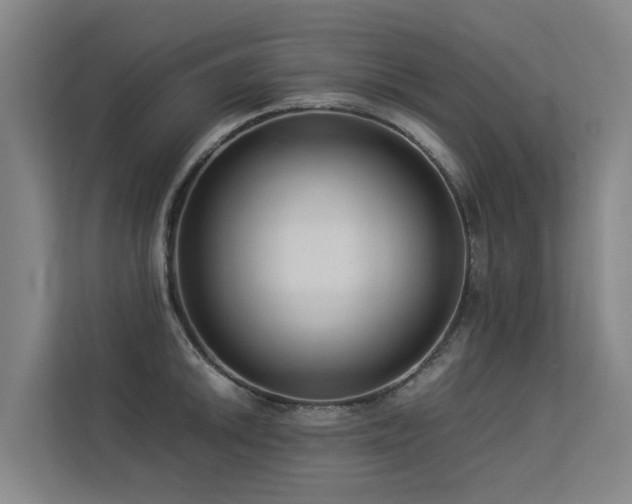 X0000113261046200909101455