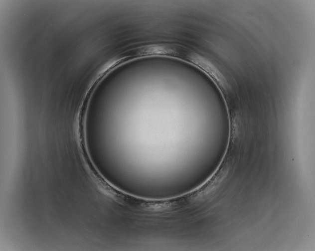 X0000113261047200909101455