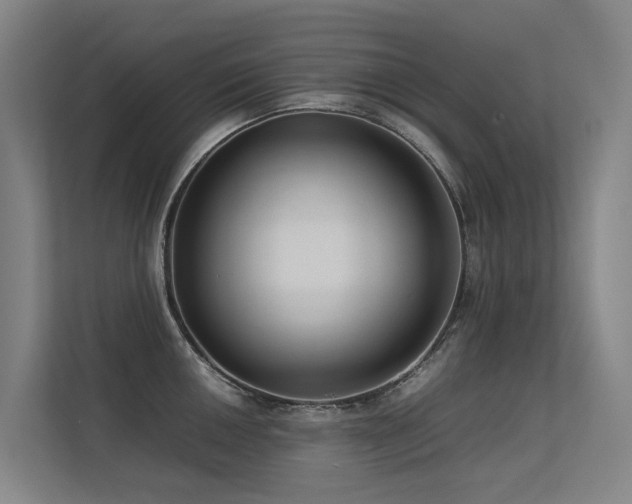 X0000113261050200909101455