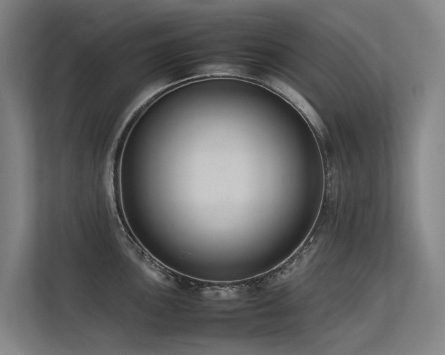 X0000113261051200909101455