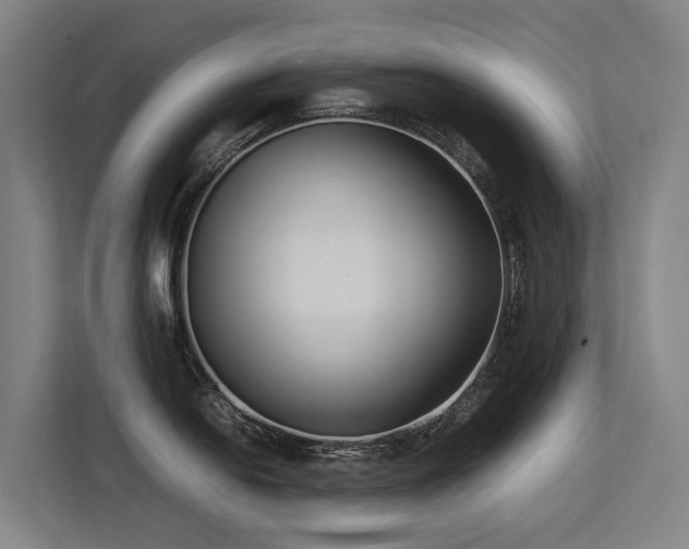 X0000113261054200909101455