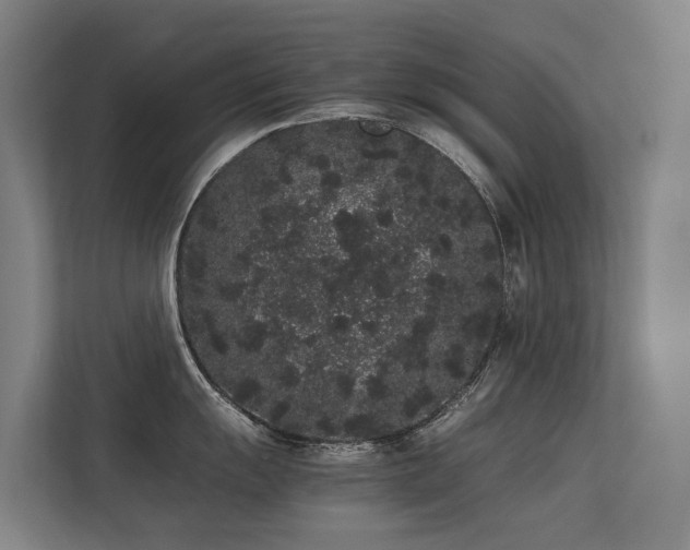 X0000113261055200909101455