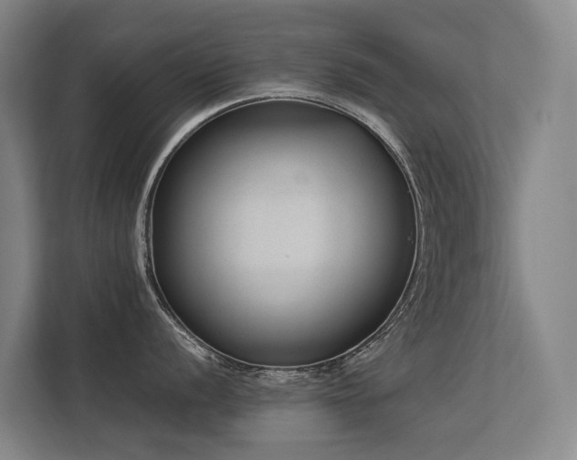 X0000113261056200909101455