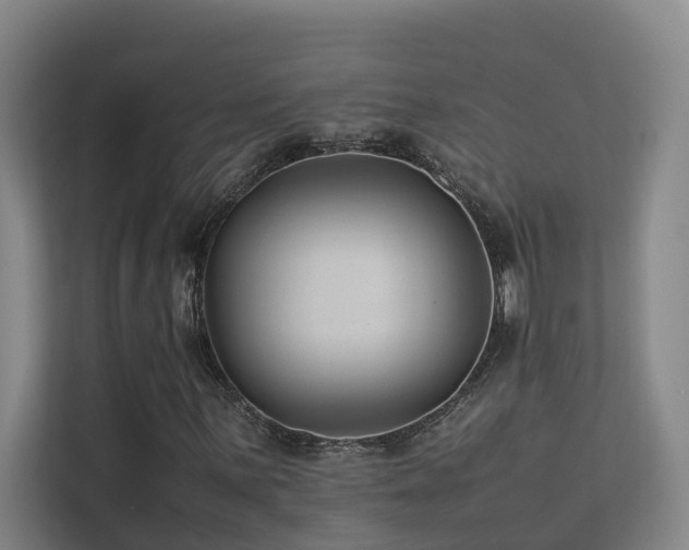 X0000113261059200909101454