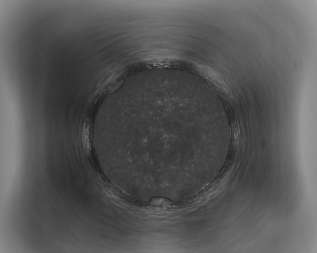 X0000113261060200909101454