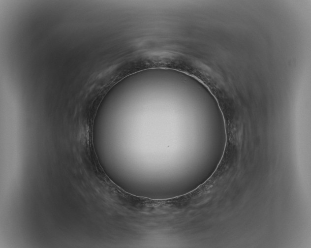 X0000113261061200909101454