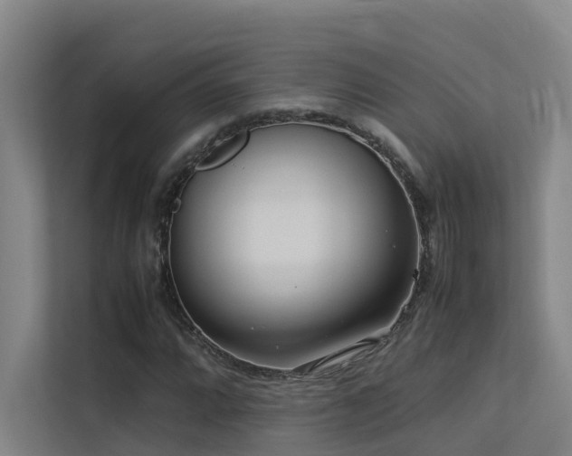 X0000113261064200909101454