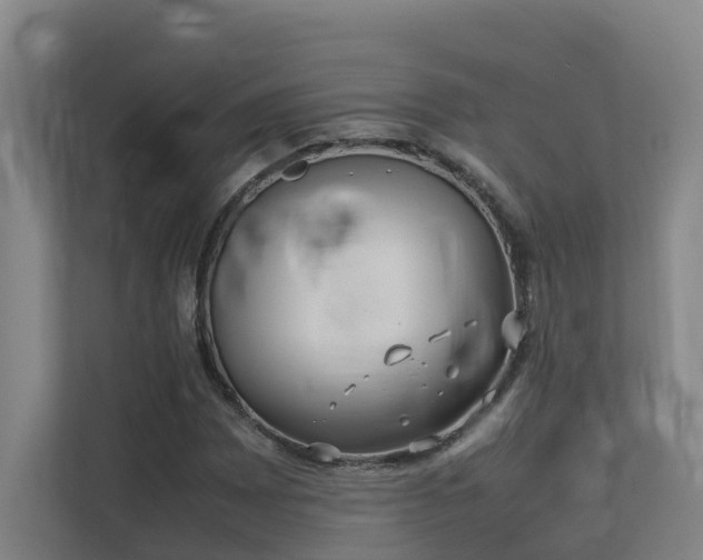 X0000113261065200909101454