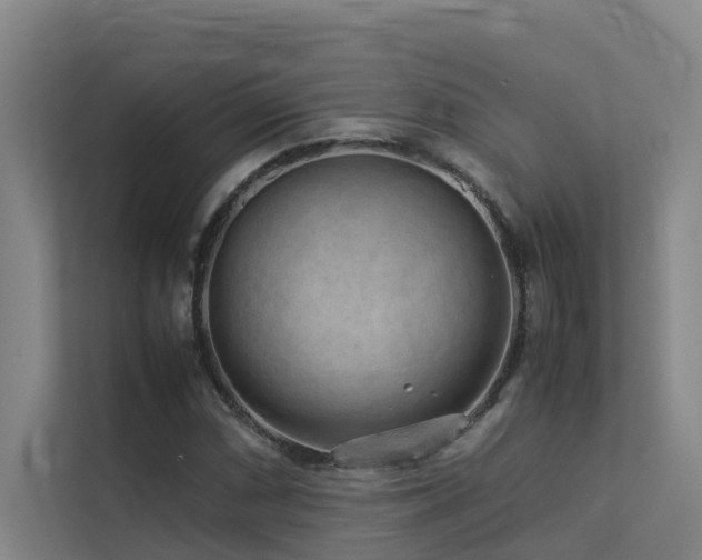 X0000113261066200909101454