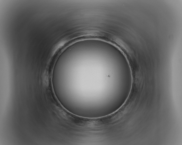 X0000113261067200909101454