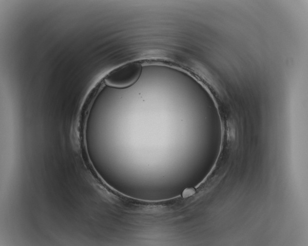 X0000113261068200909101454