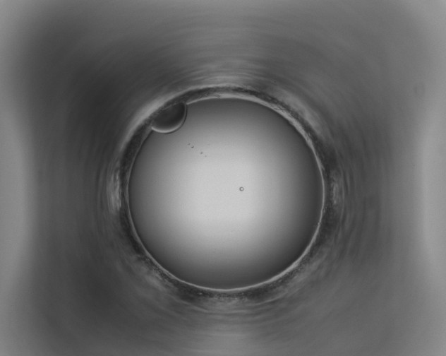 X0000113261069200909101454