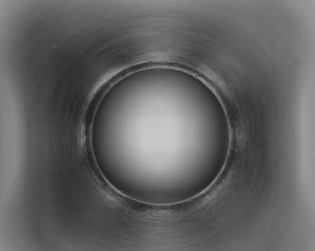 X0000113261070200909101454