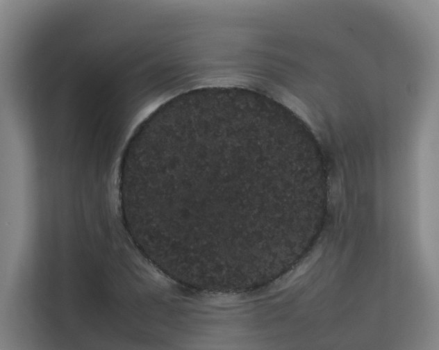 X0000113261071200909101454