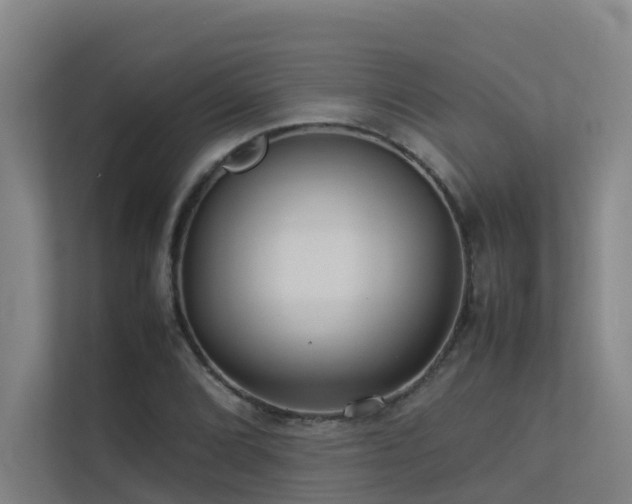 X0000113261072200909101454