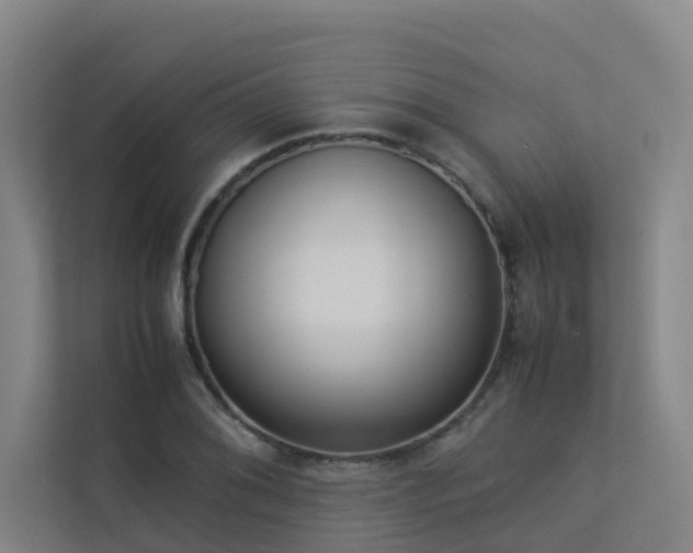 X0000113261076200909101454