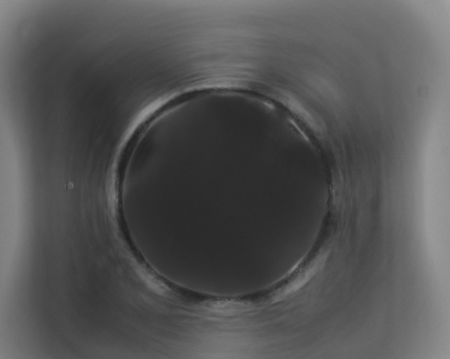 X0000113261077200909101454