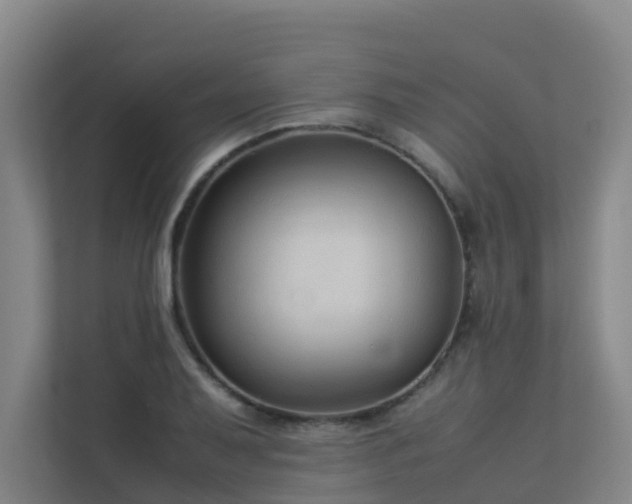 X0000113261079200909101454